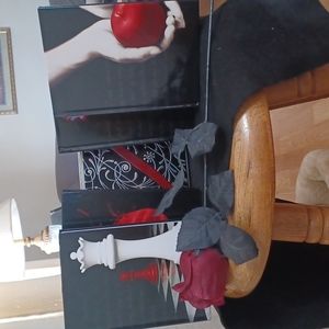 Blank Twilight journals of all 4 books